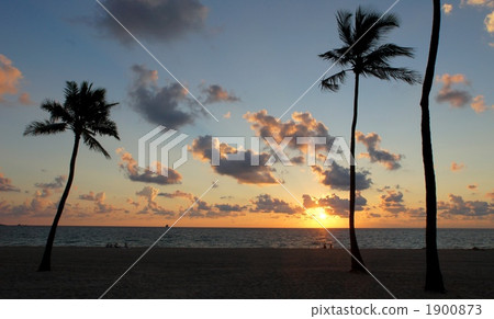 Sunrise over Fort Lauderdale Beach, Florida, USA Sunrise over Fort Lauderdale Beach, Florida, USA 1900873
