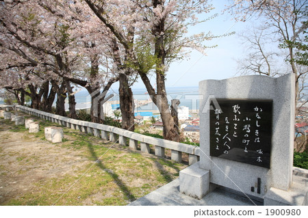 小樽水寺的石川Sakiki紀念碑 1900980