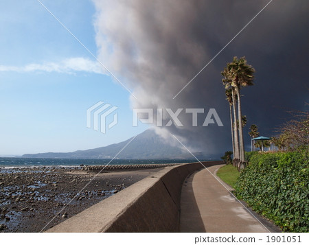 櫻島火山噴發後立刻 1901051