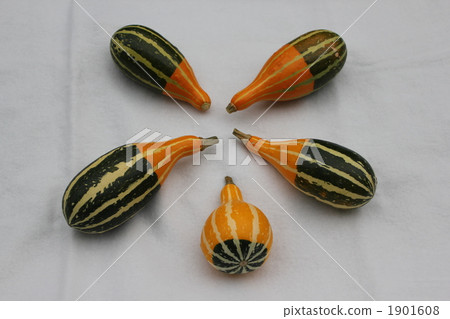Decoration pumpkin 1901608
