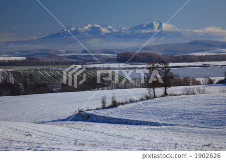 美瑛大雪山和雪景 美瑛大雪山和雪景 1902626