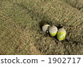橡子 1902717