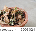 flowerpot, flowerpots, global warming 1903024