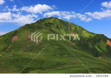 富良野山在夏天 富良野山在夏天 1903384