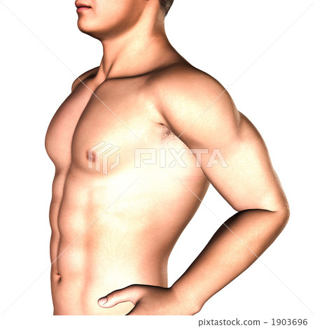 Muscle training image 1903696