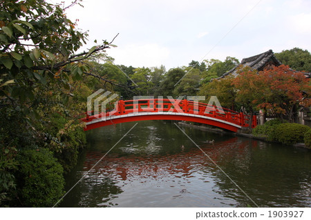 Bridge of Shinsen Garden 1903927