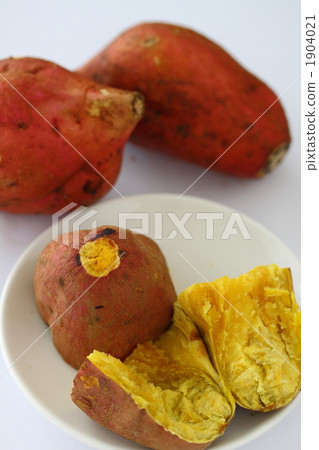 安諾土豆 1904021