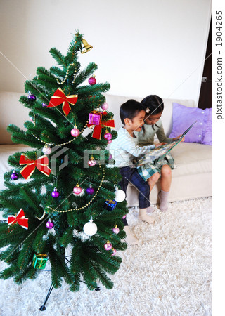 Brothers reading Christmas trees and picture books 1904265