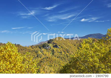 Nagano Gifu Wormwood Pass autumn leaves 1904790