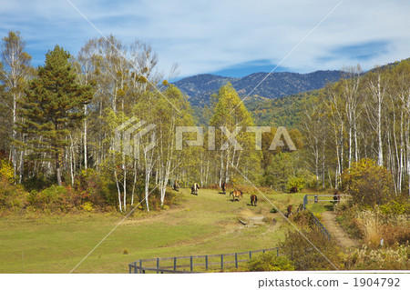 Nagano Kaeda Kogen Kiso Ma Village no Sato Nagano Kaeda Kogen Kiso Ma Village no Sato 1904792