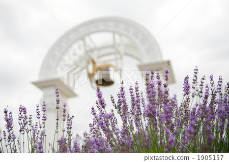 Kamifurano北海道的日出公園 1905157