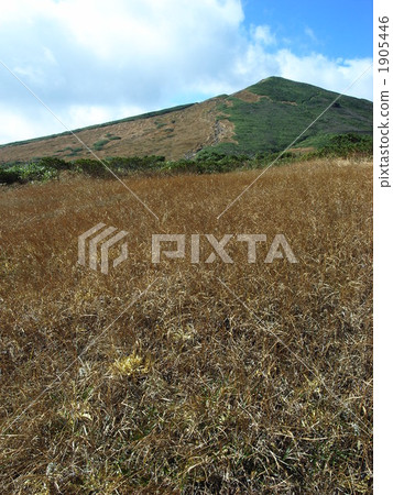 mt. kurikomayama, mountain, autumn-colored grass 1905446