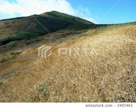mt. kurikomayama, mountain, autumn-colored grass 1905461