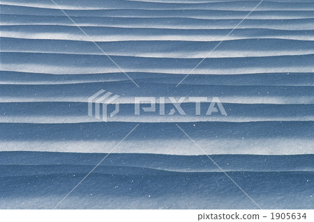Snow tea field 1905634