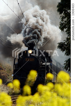 強姦鮮花和蒸汽機車 強姦鮮花和蒸汽機車 1906483