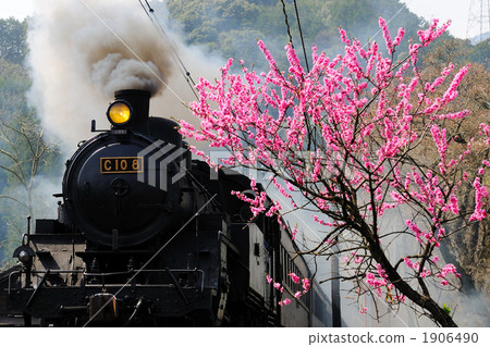 Peach blossoms and steam locomotives Peach blossoms and steam locomotives 1906490