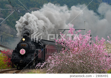 Peach blossoms and steam locomotives 1906491