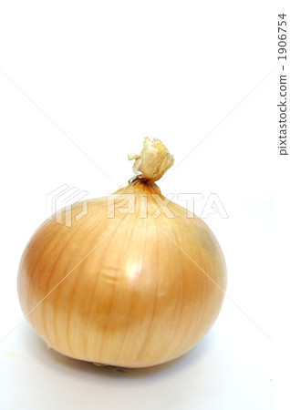 onion onion 1906754