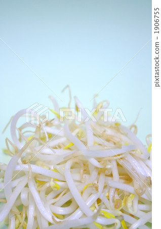 Bean sprouts Bean sprouts 1906755
