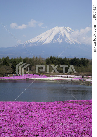 Fuji's moss slurry 1907414