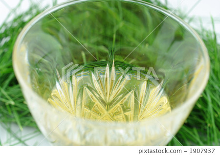 A cider in which pine needle yeast is alive 1907937