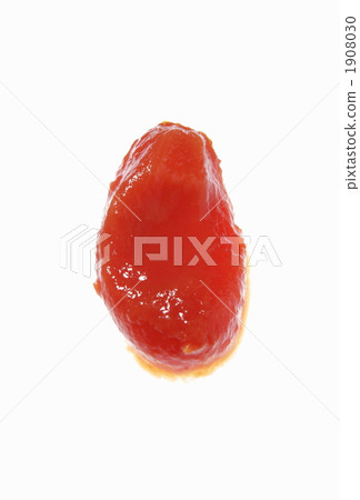Canned tomato Canned tomato 1908030
