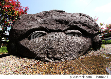 龜石 形狀獨特的石頭 石頭 1908631