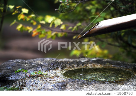 Autumn leaves and buds 1908793