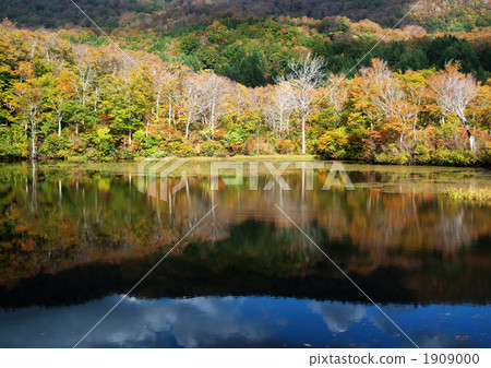 Jizo Pond - 1 1909000