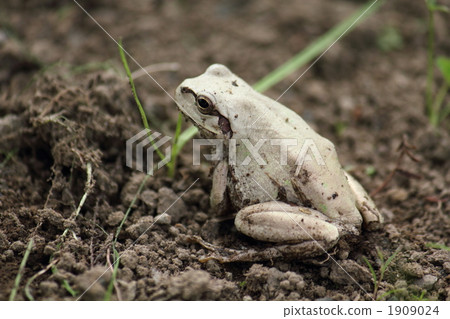 Preparation for winter Preparation for winter 1909024