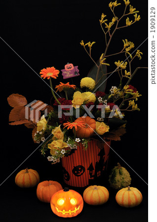 gerbera, gerberas, present 1909129
