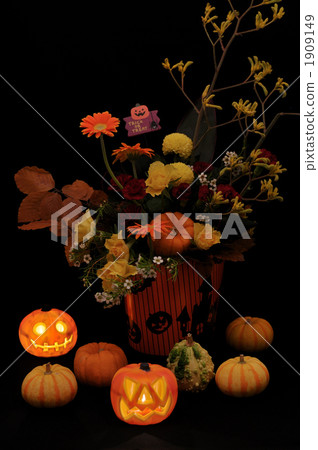 gerbera, gerberas, present 1909149