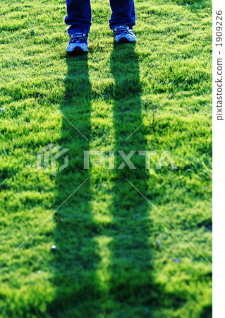 草地 草坪 腳 1909226