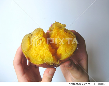 家庭烤白薯白薯 1910068