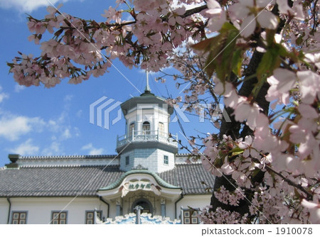 National Treasure Kaichi School and Sakura National Treasure Kaichi School and Sakura 1910078