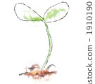 bud, sprout, sprouts 1910190