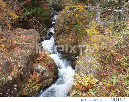 Fall of Oku-Nikko crown of autumn Fall of Oku-Nikko crown of autumn 1911841