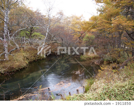 Oku-Nikko Yukawa秋葉 1911850
