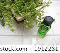 Aromatic oil 001 1912281