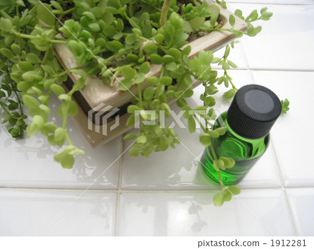 芳香油001 芳香油001 1912281