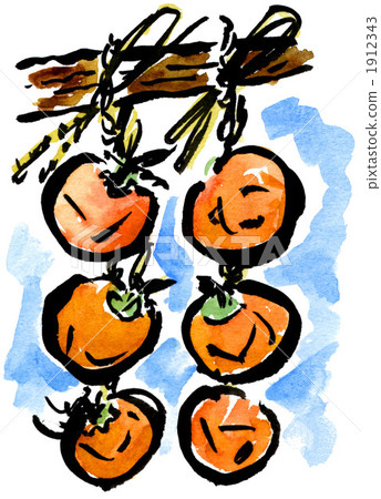Dried persimmon 1026pix 1912343