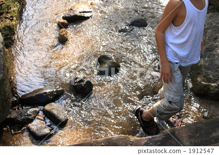 Playing in the water Playing in the water 1912547
