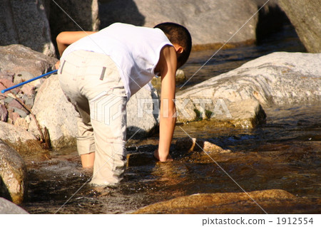 Playing in the water Playing in the water 1912554