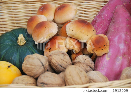 Autumn Harvest Autumn Harvest 1912909