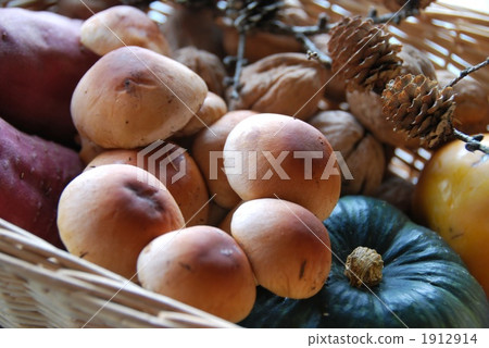 Autumn Harvest 1912914