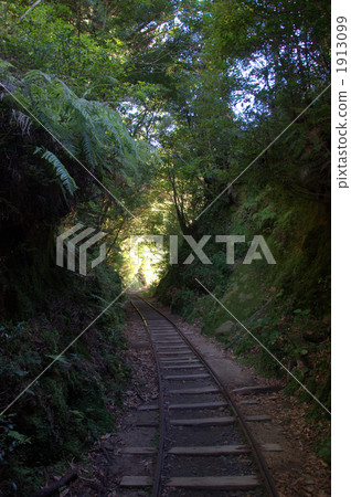 在屋久島山道路的卡車路軌 在屋久島山道路的卡車路軌 1913099