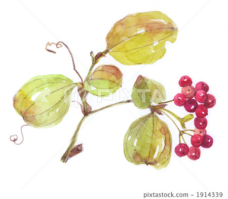 Sankei Ray衛星 1914339