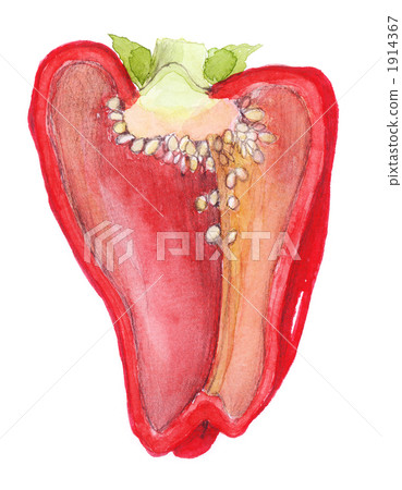 辣椒粉紅色 1914367