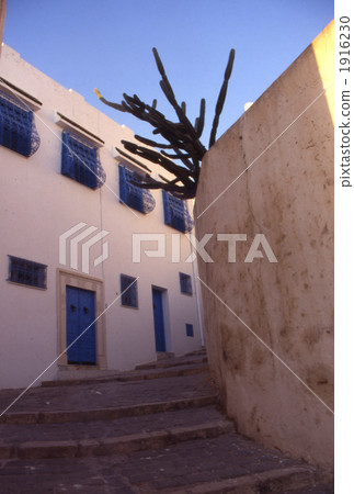 Sidi Bou Said 1916230