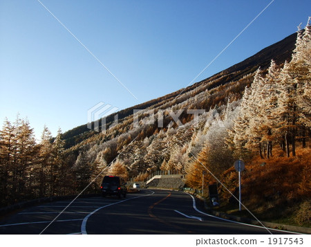 Autumn leaves and frost 1917543